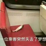 何好圆头像