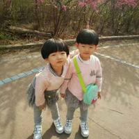 城市骆驼211154140头像