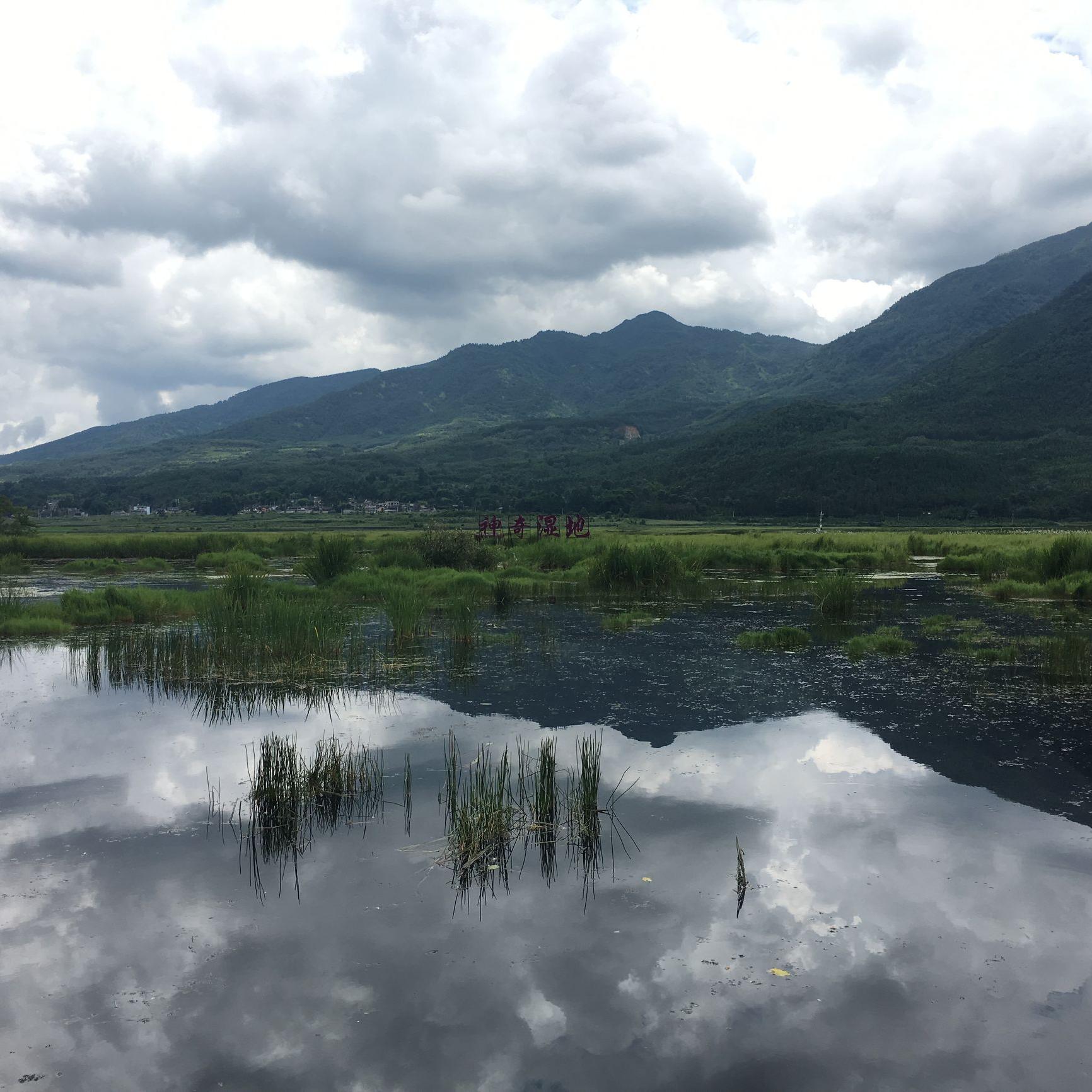 郑文丽头像