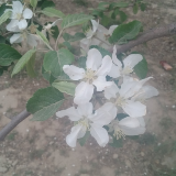 犀利的眼光也看不清浑浊的世头像