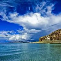 浴皇大迪迪头像