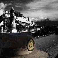 A天赐藏宝虫草朱头像