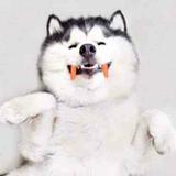 大超子。头像