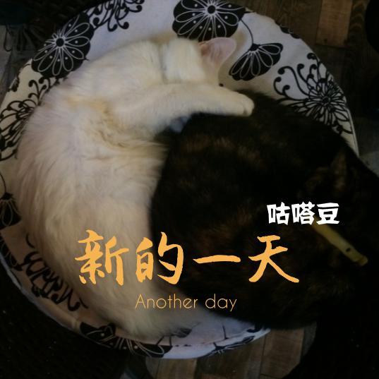 咕嗒豆头像