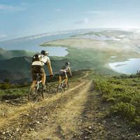 木头买宝马头像