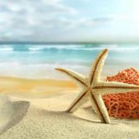 麦岛号驱逐舰头像