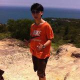 深圳小飞猪头像