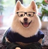 悬崖华尔兹丶头像