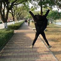 天马二区四栋533头像