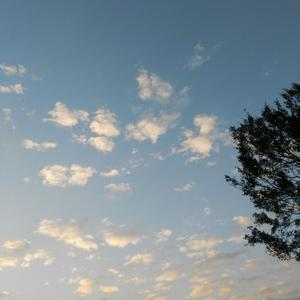 庐山烟雨浙江潮z头像