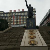 回不去，的过去！头像