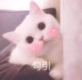 反派角色哦头像