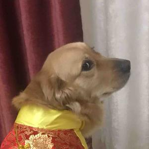 Tyratxy头像
