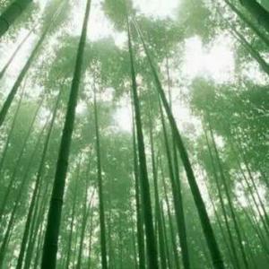 人生回忆50头像