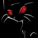 Black丨cat丶玄猫头像