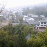 chenrenping头像