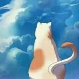 可儿卡布头像