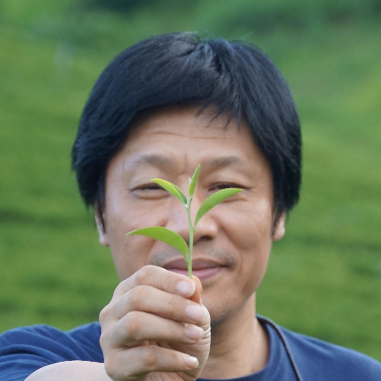 跟着老罗喝茶头像