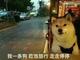 灰色熊猫01 · 领克01车主·车龄2年头像