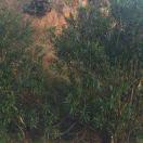 我是路过的。头像