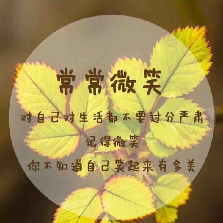 情情小怪兽头像