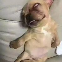 简单艺术家nKh头像