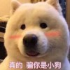 So灬神话头像