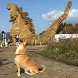 管他呢爱是谁是谁头像