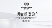 威马EX5头像