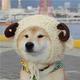 你这破DJ头像