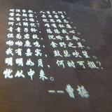 用户8504556860003头像