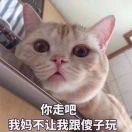 喵喵头像