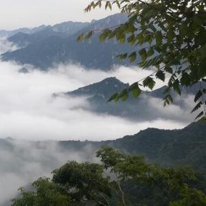 真相勘探局头像
