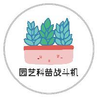 园艺科普战斗机头像