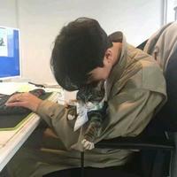 迎秋kqx头像