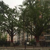 聪慧梦想7D8头像