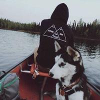 曼城哈兰德123头像