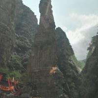 潇洒龙眼看世间头像