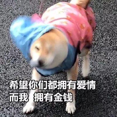 菜坏的头像