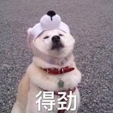 21世纪坏男人头像
