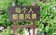 大牙SHOW头像