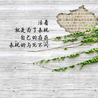 一剑飘红43981131头像