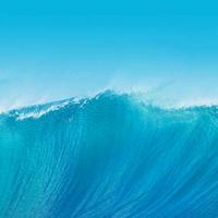 固镇石湖王涛头像