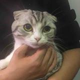 明天萌萌哒头像