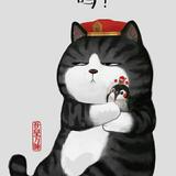 WETOOM头像