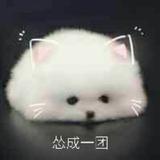 优雅蛋糕1y7头像