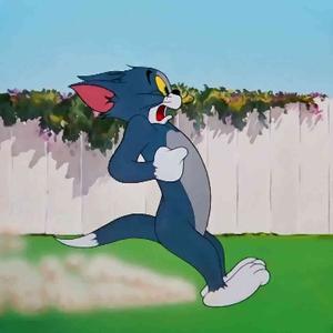 稳场鑫i头像