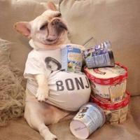 鱼予玉与驴i头像