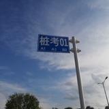 长大了的飞熊头像