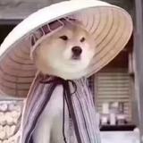 临渊雨丶头像